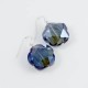 Earrings 021