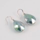 Earrings 024