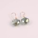 Earrings 027